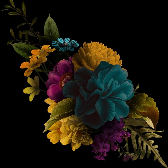 beauttifullynf